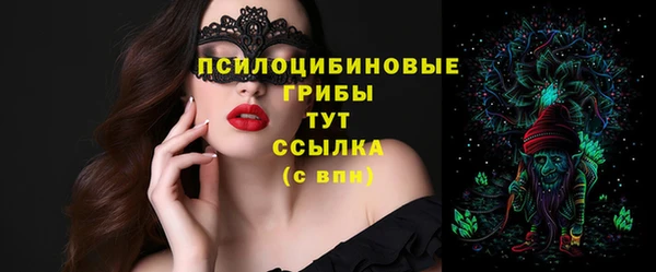 apvp Лиски