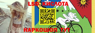 гашик Бийск