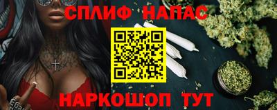 гашик Берёзовский