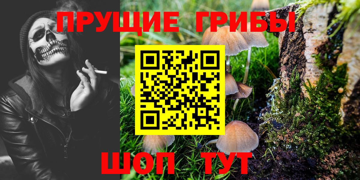 Псилоцибиновые грибы GOLDEN TEACHER  Псилоцибиновые грибы ЛСД  купить закладку  Донецк  Вход с VPN 